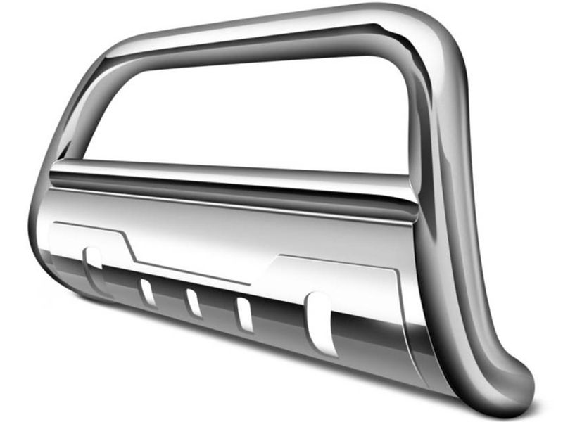 Black Horse Oval Stainless Bull Bar with Stainless Skid Plate