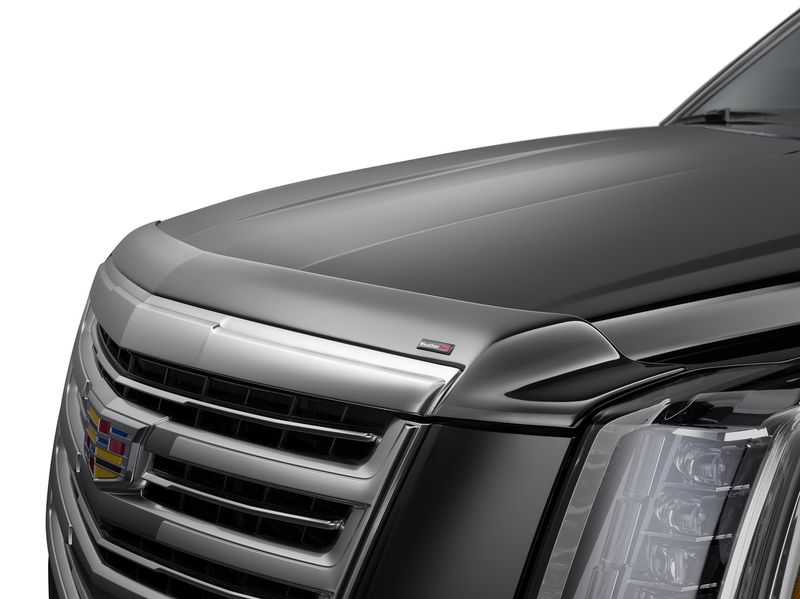 WeatherTech Low Profile Bug Shield